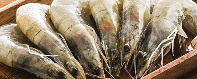 什麼是厄瓜多爾凍蝦 厄瓜多爾凍蝦介紹