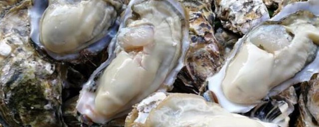 生牡蠣的功效與作用 生牡蠣的功效與作用有哪些