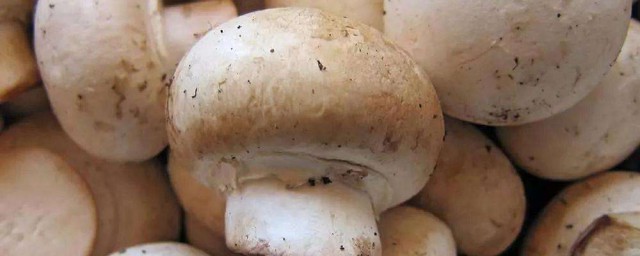蘑菇燉雞的傢常做法 蘑菇燉雞的做法