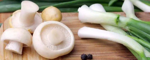 白蘑菇怎麼做好吃 白蘑菇簡介