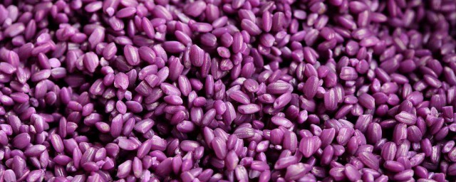 紫米的功效與作用 紫米的功效作用有哪些