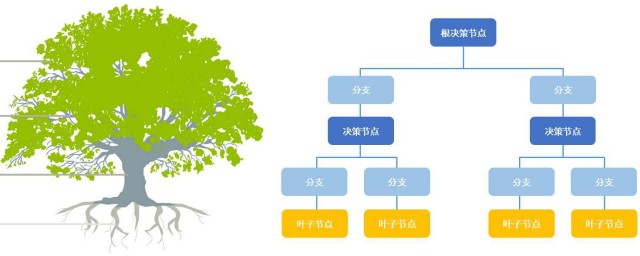 決策樹分析介紹 關於決策樹分析的介紹
