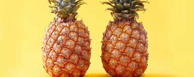 菠蘿與鳳梨的區別 菠蘿與鳳梨的區別有哪些
