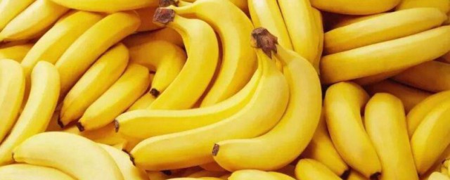 香蕉的資料 香蕉的產地