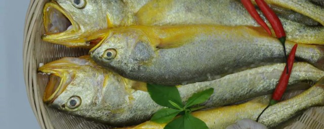 怎樣做黃魚 黃魚的營養價值