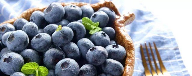 藍莓吃多瞭會怎麼樣 藍莓簡介