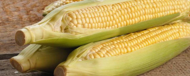 新鮮玉米可以怎麼保存 保存新鮮玉米方法