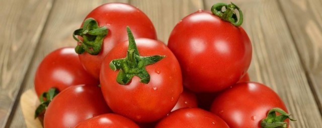 西紅柿的營養 西紅柿有什麼營養價值