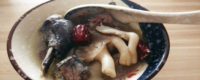 菌菇雞湯怎麼燉好喝 菌菇雞湯好喝的燉法