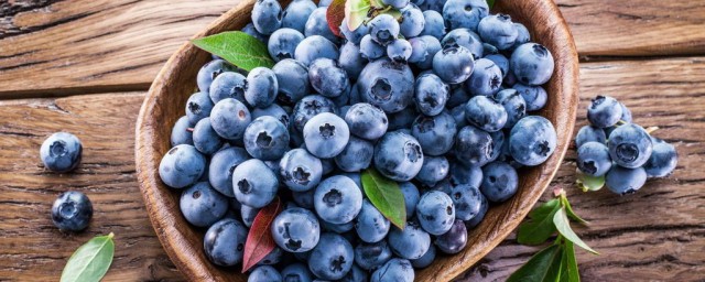 藍莓幹的功效與作用 藍莓幹的功效與作用介紹