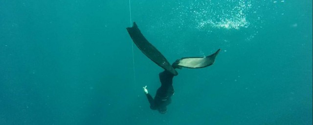 自由潛水呼吸技巧 自由潛水如何正確呼吸