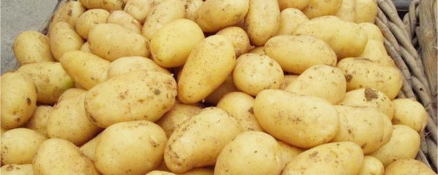土豆收下來怎麼保存 這些方法一定管用