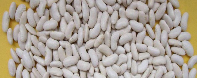 大小白蕓豆營養價值一樣嗎 白蕓豆介紹