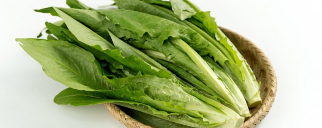 小青菜和油麥菜哪個營養價值高 油麥菜有什麼獨特的營養