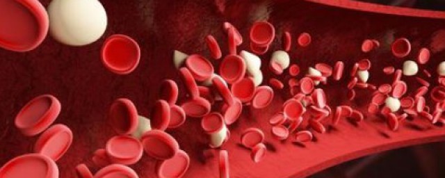 貧血怎麼補 通過食療補血