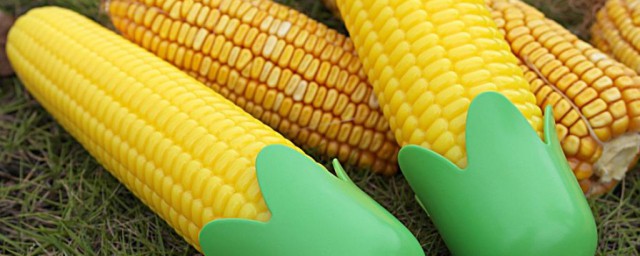 corn是什麼意思 用它怎麼造句