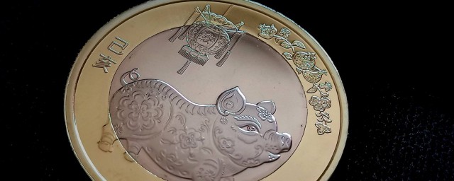 豬年紀念幣就是 紀念幣的背景