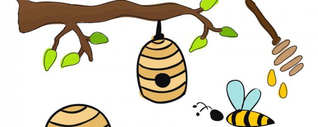 樹新蜜蜂用英語怎麼說 原來是這幾個英文