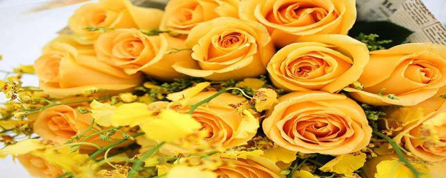 黃玫瑰的花語 黃玫瑰的花語是什麼