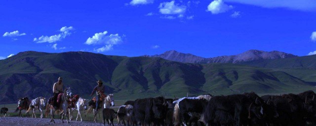 玉樹在哪個省 玉樹藏族自治州介紹