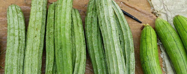 絲瓜功效與作用有哪些 吃絲瓜有什麼好處