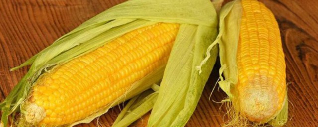 吃玉米有助於減肥嗎 玉米熱量高嗎