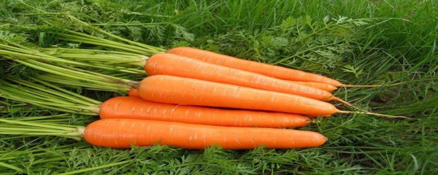 胡蘿卜含有什麼維生素 胡蘿卜的營養成分