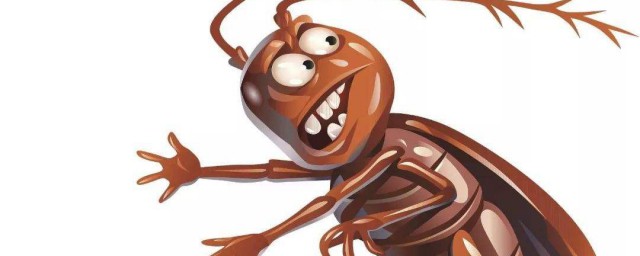 怎麼對付蟑螂 蟑螂的危害有哪些
