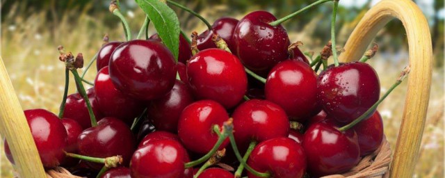 櫻桃的功效與作用及禁忌 櫻桃的營養價值