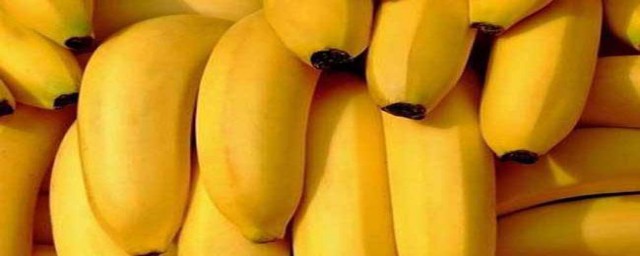 懷孕可以吃香蕉嗎 懷孕是否可以吃香蕉