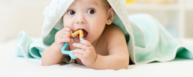 八個月寶寶輔食 八個月寶寶食譜
