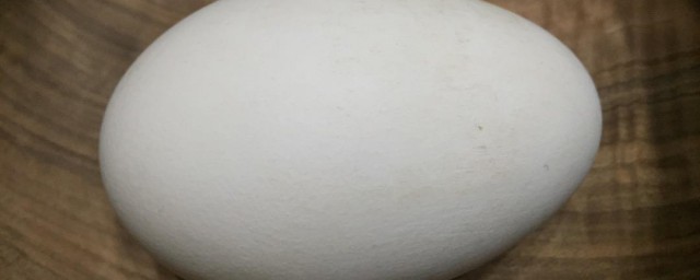 孕婦可以吃鵝蛋嗎 鵝蛋的營養價值介紹