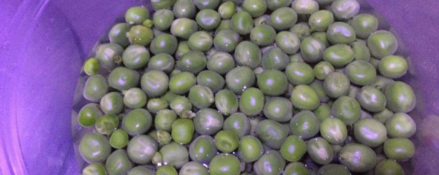 豌豆怎麼炒不皺皮 豌豆的作用