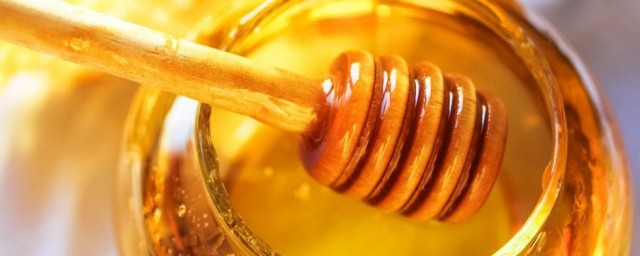 棗花蜂蜜的功效與作用 對人體的好處