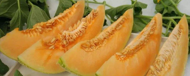 吃哈密瓜會胖嗎 哈密瓜的營養價值