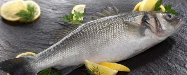 吃魚時要去除魚膽魚膽的主要危害是 吃魚時要去除魚膽魚膽的主要危害是是什麼