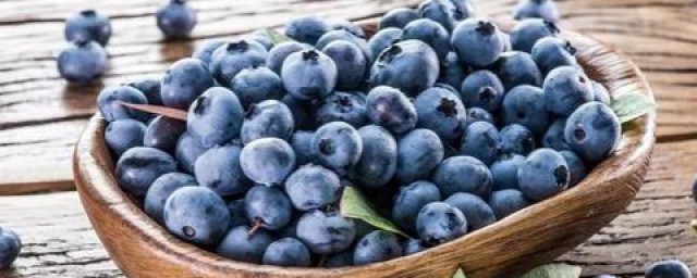 藍莓功效 生態的效益
