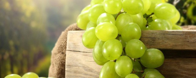 懷孕可以吃葡萄嗎 葡萄的營養價值