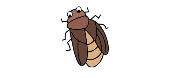 有蟑螂爬到床上怎麼辦 蟑螂為什麼會爬上床