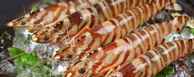 竹節蝦是海蝦還是河蝦 屬於海蝦