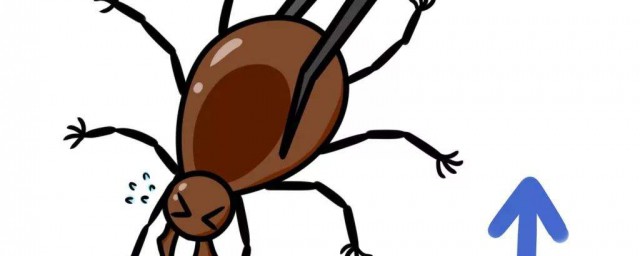 什麼是蜱蟲 蜱蟲是什麼
