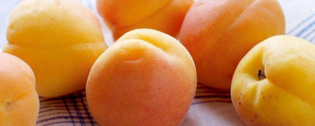 杏子的功效 杏子的功效是什麼