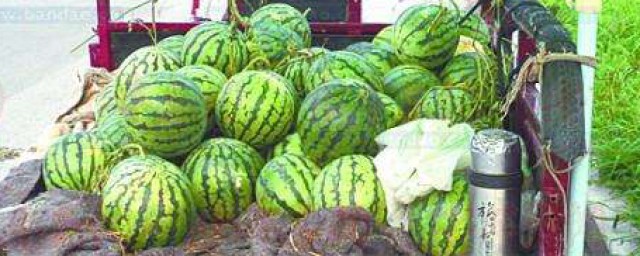 擺攤賣的西瓜怎麼保存 有什麼保存的方法