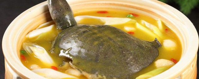 甲魚湯的功效 吃甲魚湯的禁忌