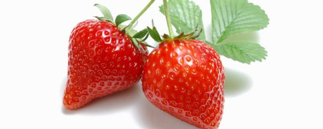 草莓怎麼養最好 草莓養殖的辦法