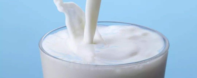 純牛奶加酸奶制作酸奶方法 需要怎麼做