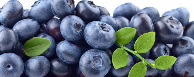 藍莓要怎麼吃才好吃 最新鮮的藍莓應該怎麼吃