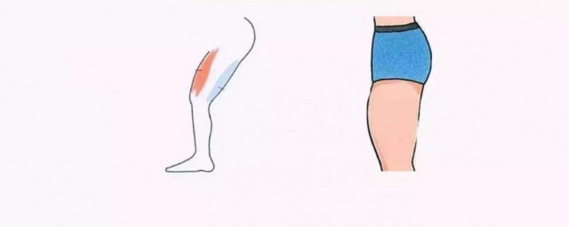 脂肪腿怎麼瘦大腿和小腿 瘦大腿和小腿方法
