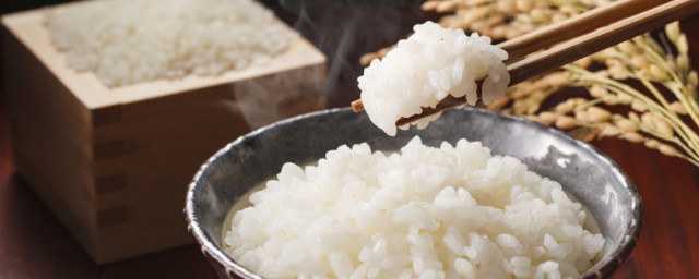 微波爐蒸米飯 如何用微波爐快速蒸熟米飯