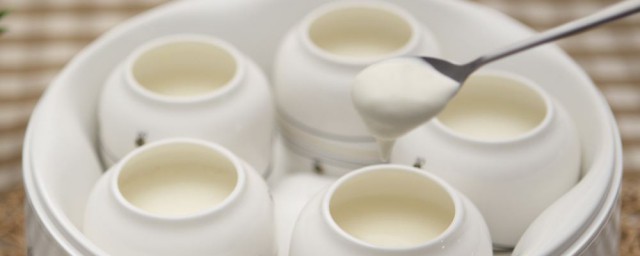 酸奶機做酸奶 自制酸奶做法